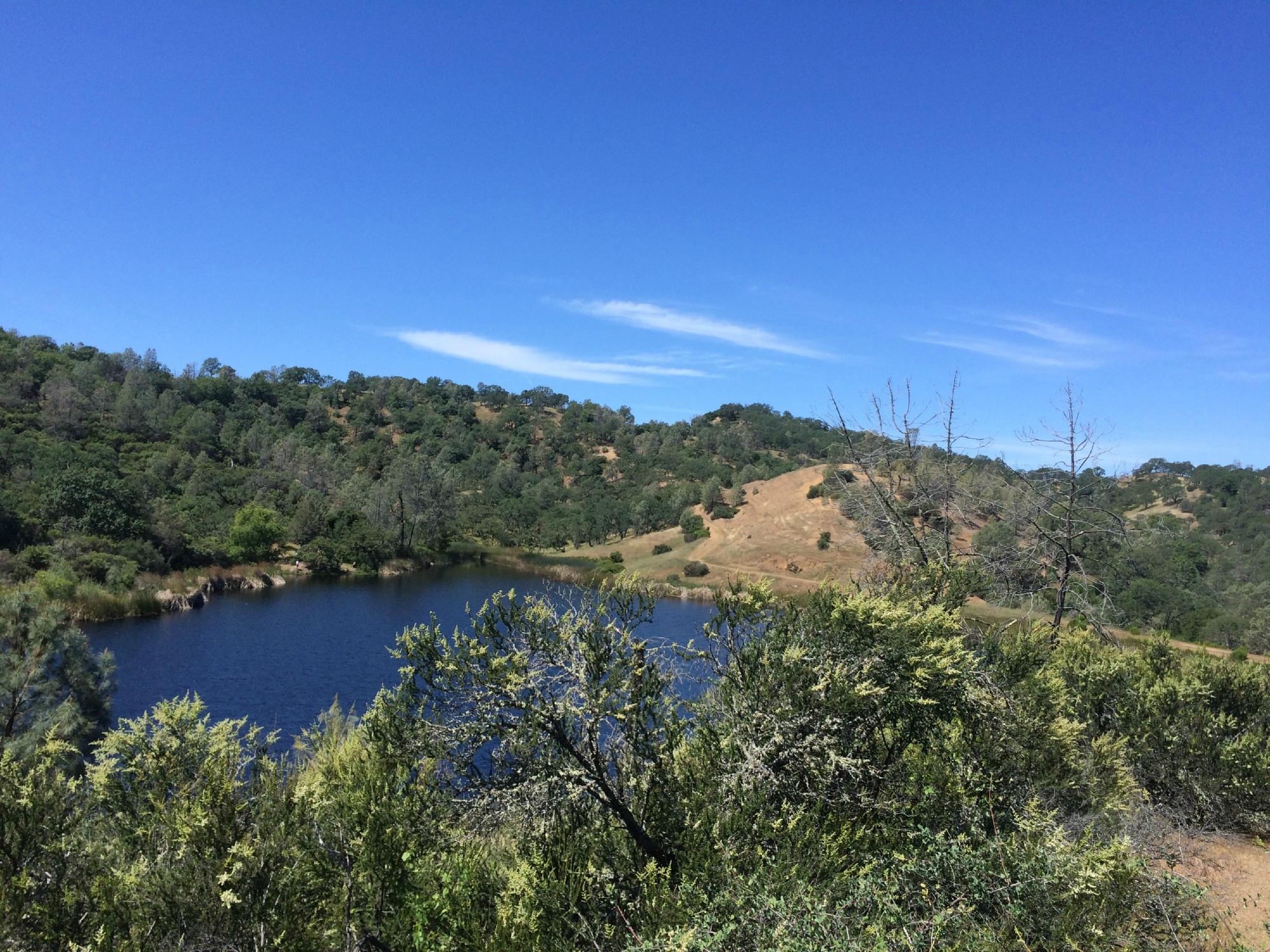 Hiking henry on sale coe state park