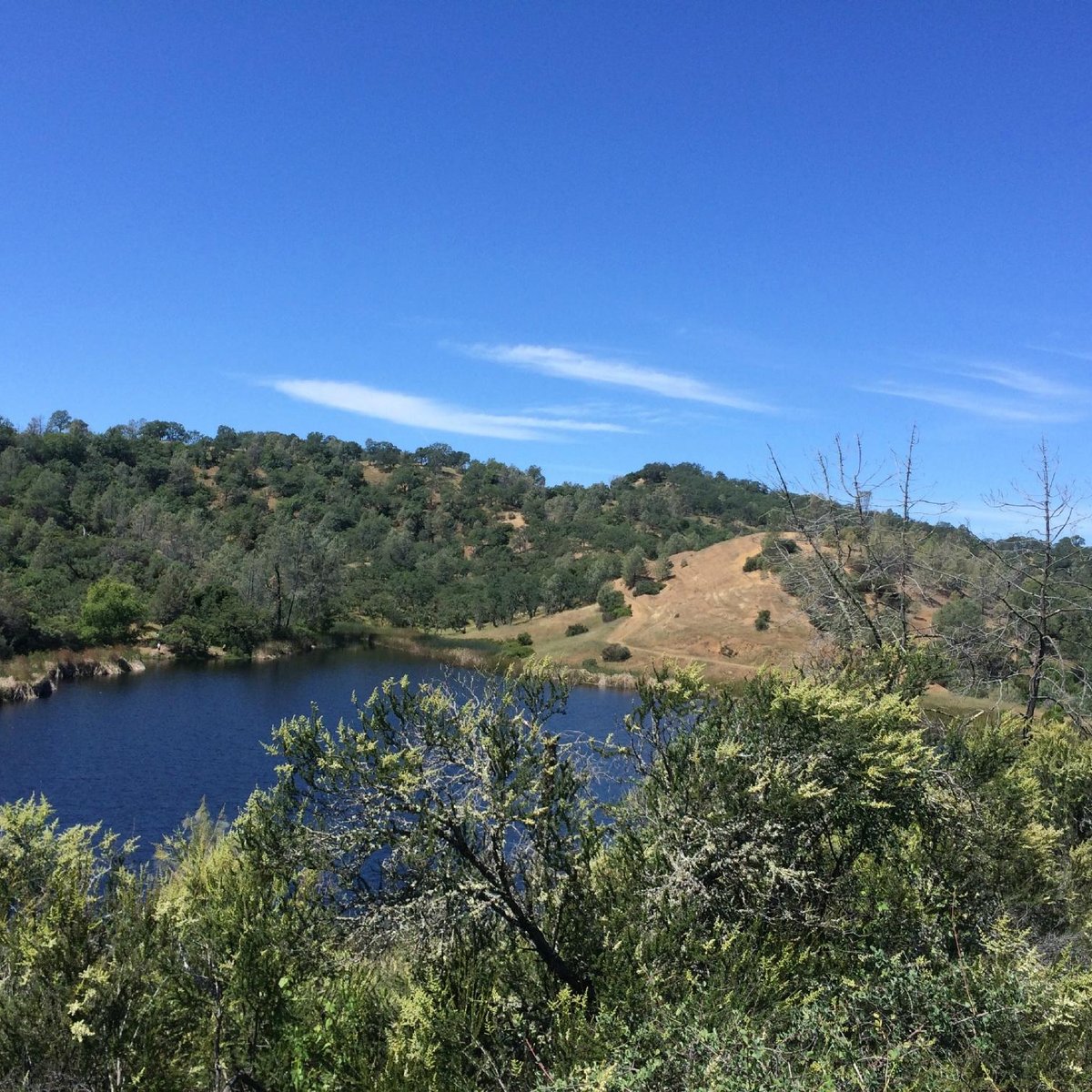 HENRY W. COE STATE PARK (2024) All You Need to Know BEFORE You Go (with ...