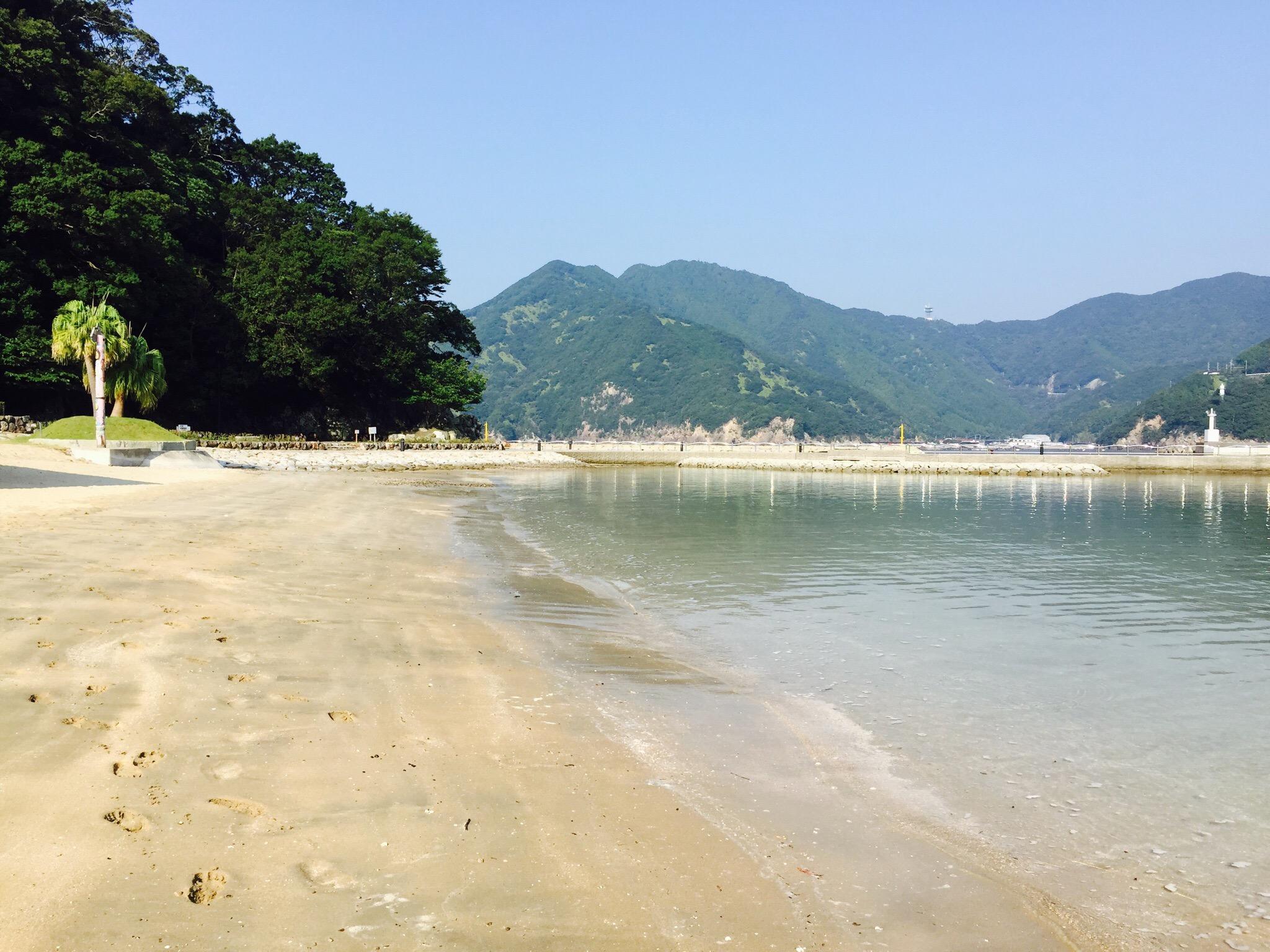 2025年 錦向井ケ浜遊パーク トロピカルガーデン - 出発前に知っ