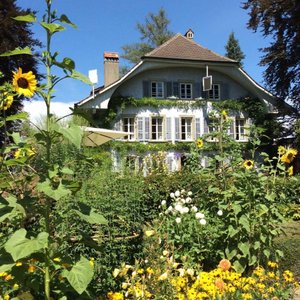 View from the garden