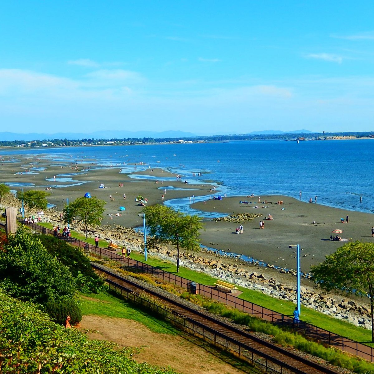 are dogs allowed on white rock beach