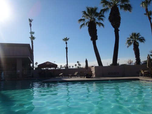 BEST WESTERN DATE TREE HOTEL - Updated 2024 Prices & Reviews (Indio, CA)