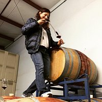 Turiya Wines