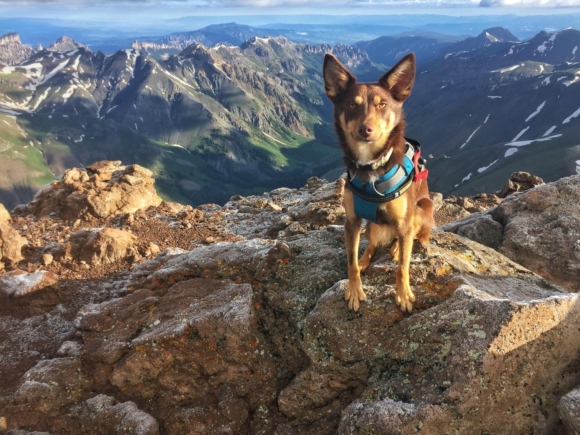 UNCOMPAHGRE PEAK Colorado What To Know BEFORE You Go   Uncompahgre Peak 