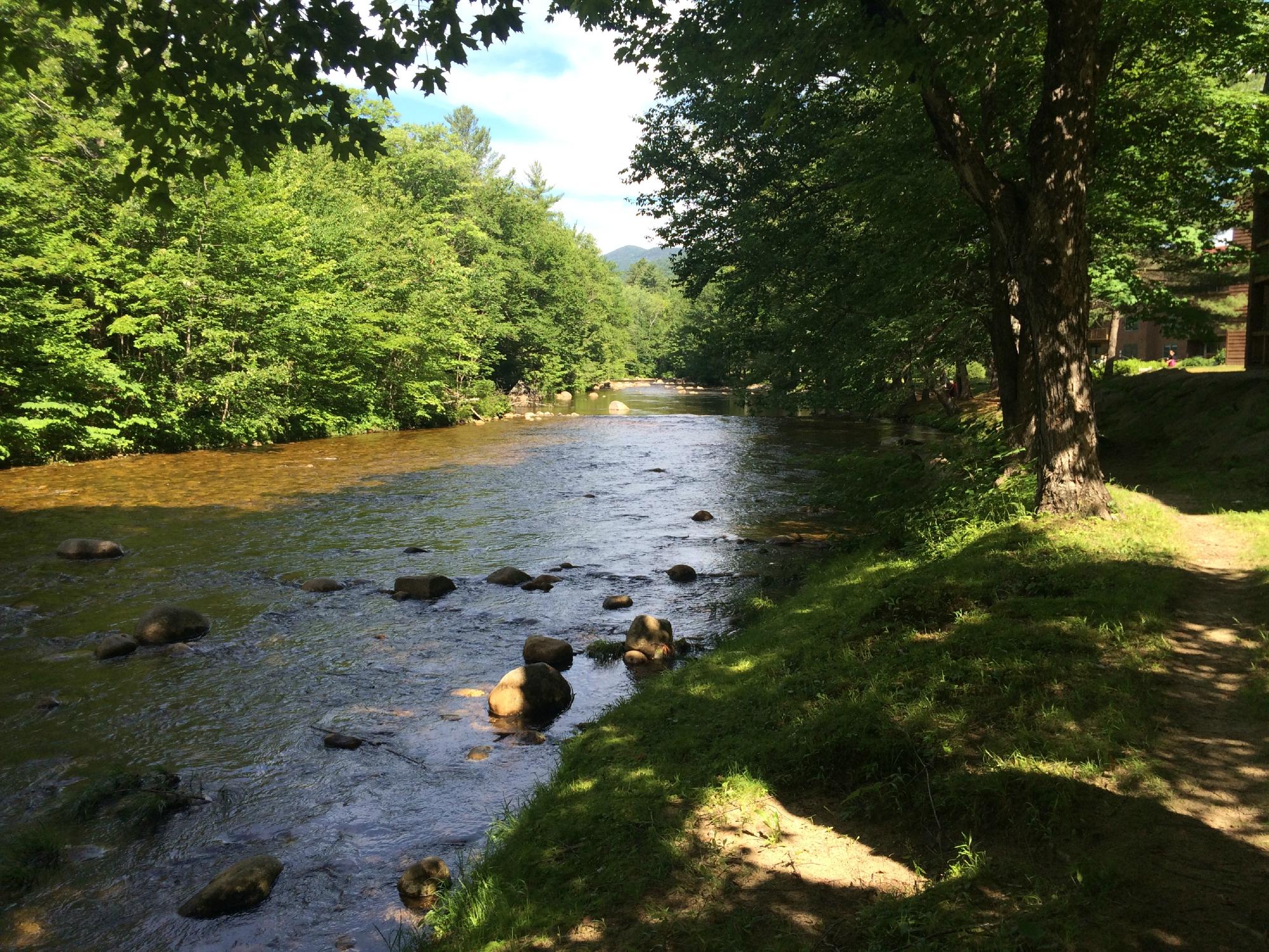 Guess deer outlet park