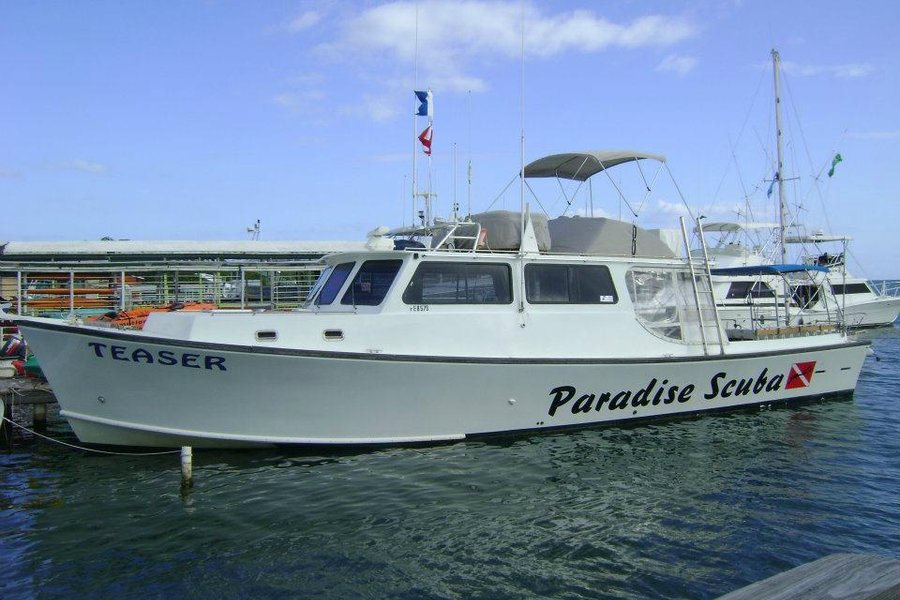 Paradise Scuba & Snorkeling Center image