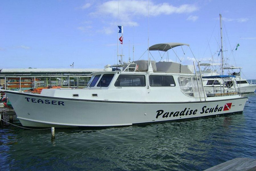 Paradise Scuba & Snorkeling Center image