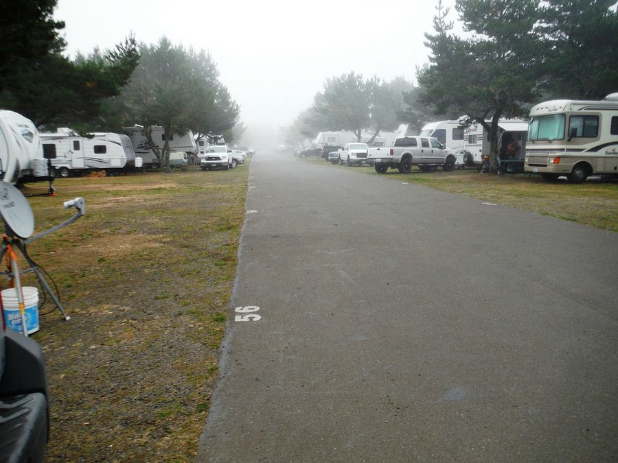 American Sunset Rv Tent Resort Updated 2020 Campground Reviews Westport Wa Tripadvisor