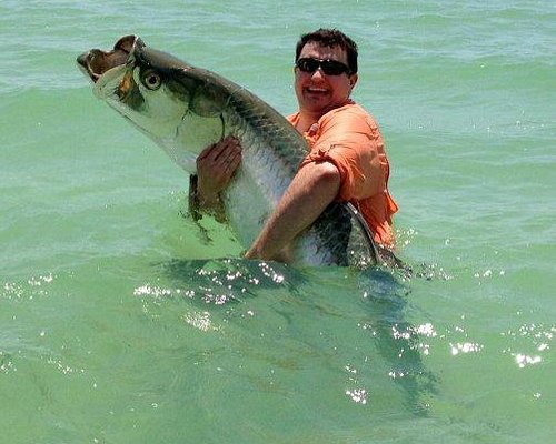 Marco Island Fishing Gear Rental - Marco Island Forum - Tripadvisor