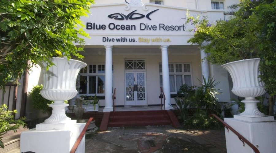 The Grand Entrance