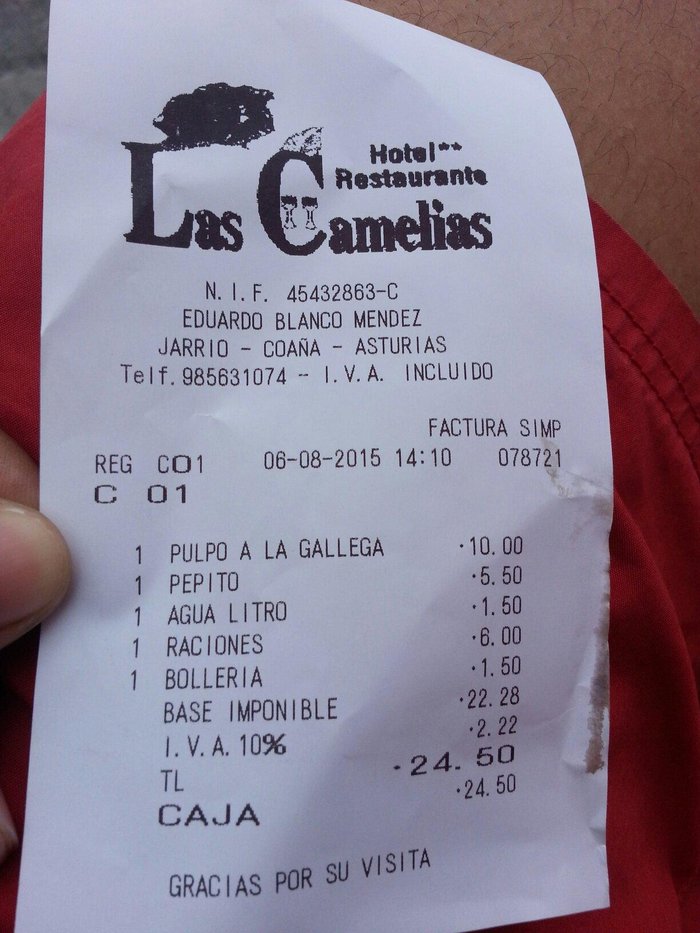 Imagen 20 de Hotel Restaurante Las Camelias