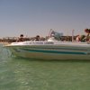 Club De Plongée La Sirène Djerba Diving