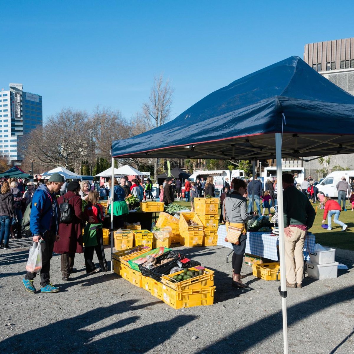 2024年 Downtown Farmers Market 出発前に知っておくべきことすべて トリップアドバイザー