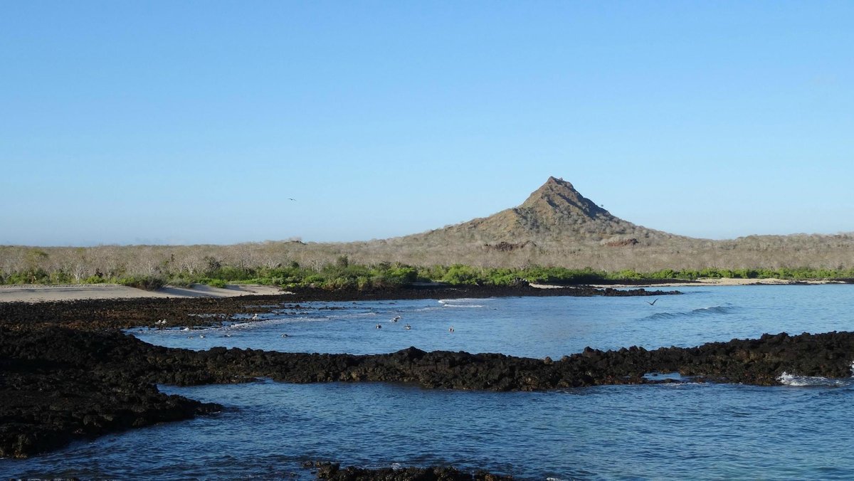 Cerro Dragon: Discover the Mystical Beauty of the Galápagos