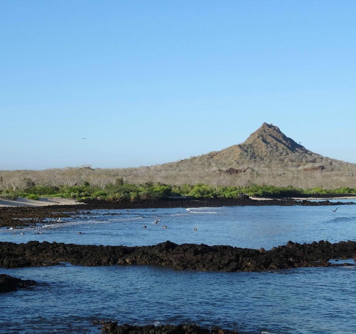 Cerro Dragon: Discover the Hidden Gem of the Galápagos Islands