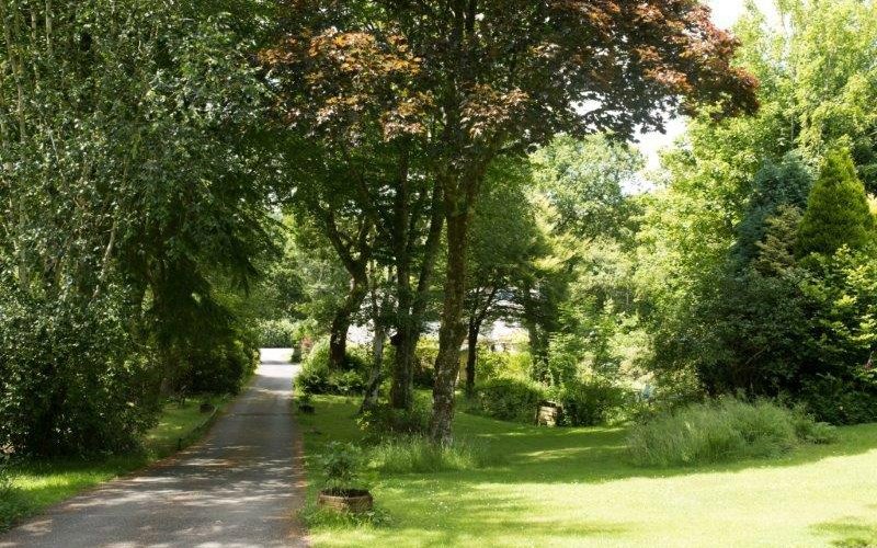 Road down to Reception
