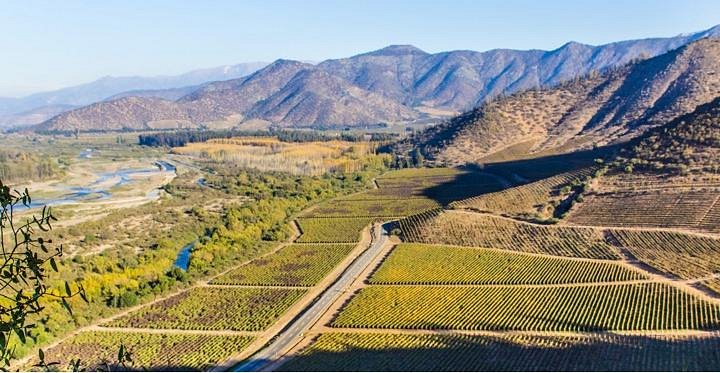 Maipo Valley Wine Tours image