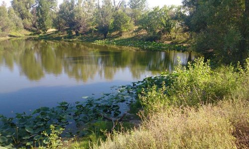 Волго ахтубинская пойма картинки