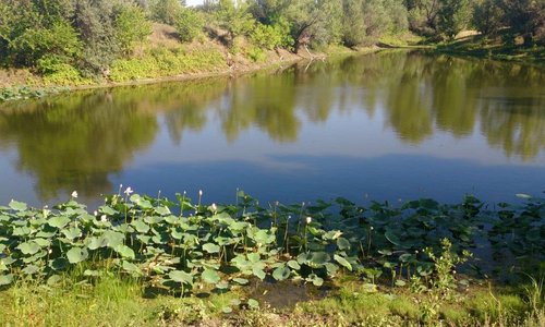 Волго ахтубинская пойма карта