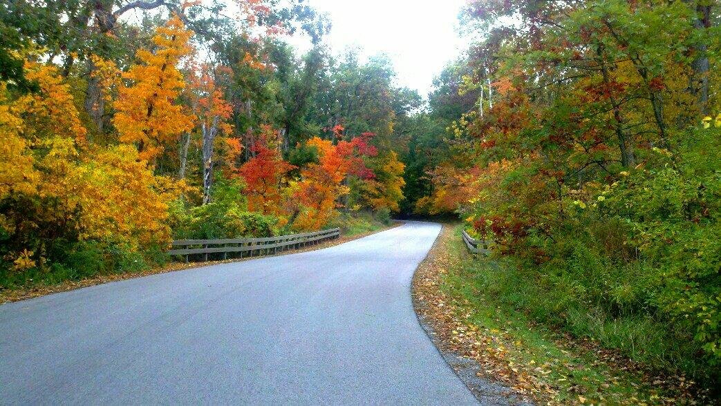 Oak Openings Preserve Metropark