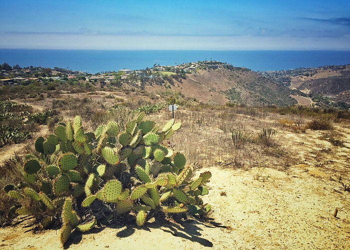 Aliso & Wood Canyons Wilderness Park