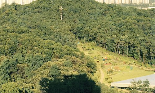 21年韩国华城市的旅游景点 旅游指南 行程 Tripadvisor 21年韩国华城市的旅游景点 旅游指南 行程 Tripadvisor