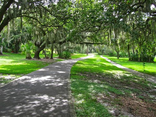 THE 10 BEST Parks & Nature Attractions in Clearwater - Tripadvisor