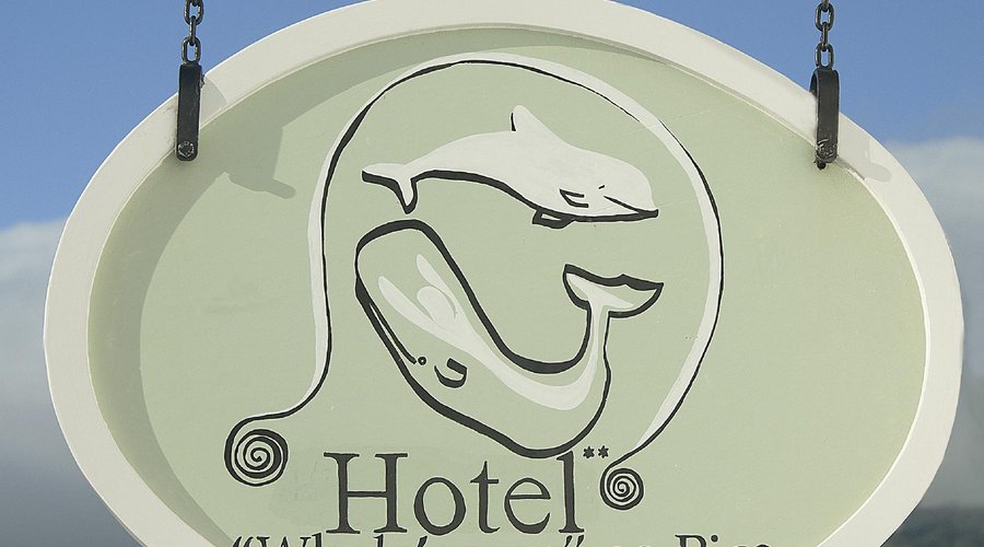 Bistrot whale'come is the restaurant of the hotel...Whale'come ao Pico