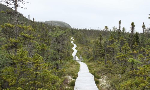 Glovertown, Newfoundland and Labrador 2023: Best Places to Visit ...