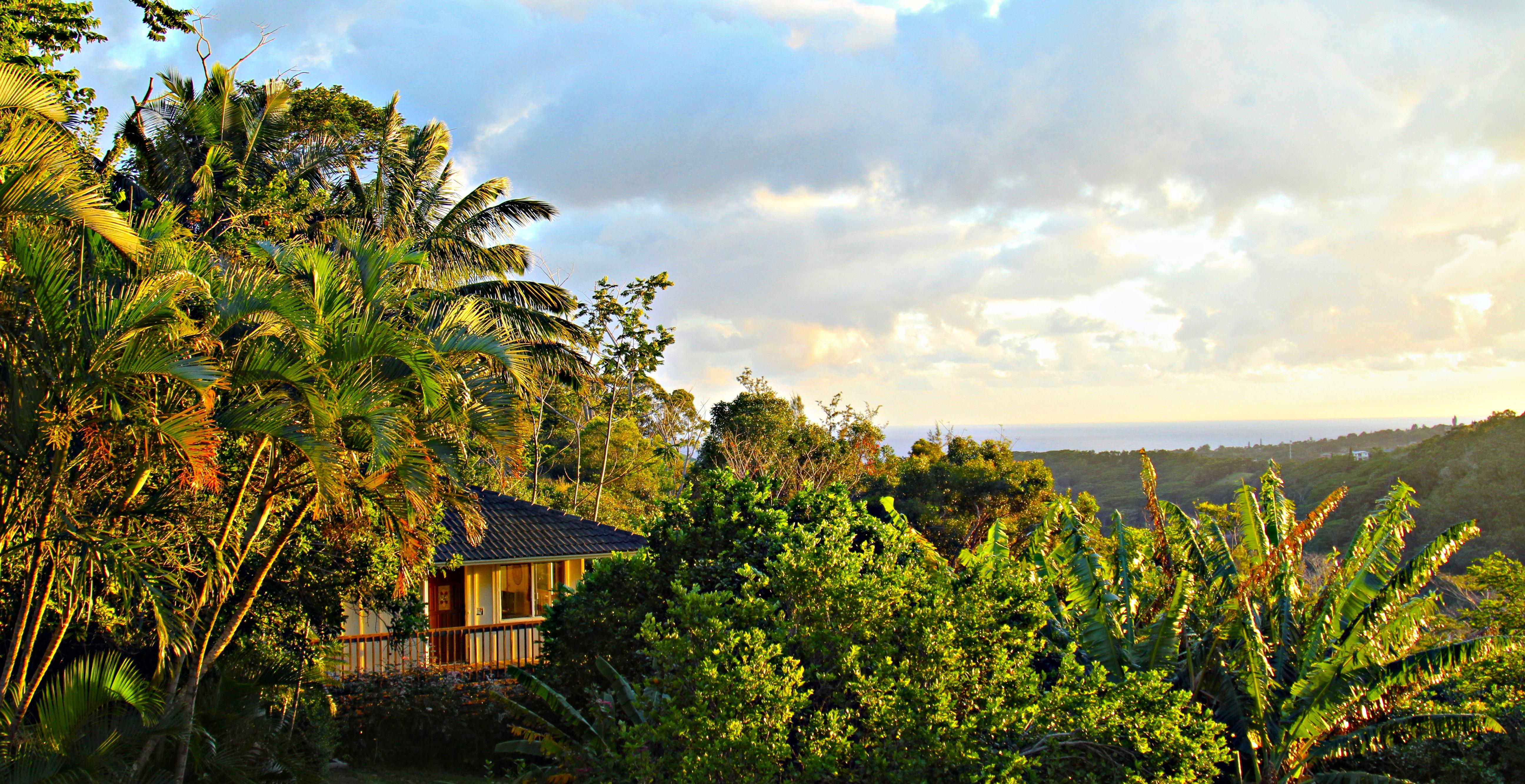 HALE KUA BED AND BREAKFAST - B&B Reviews (Kauai/Lawai)