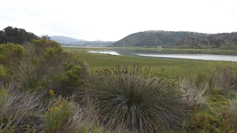 Lagoon Trail
