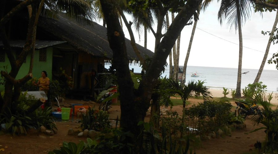Vue depuis le bungalow