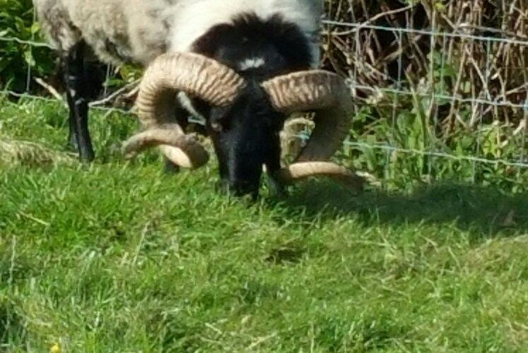 Achill Outdoor Relaxation