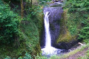 Oregon's Hidden Gem: Seneca Fouts Memorial State Natural Area - A Tranquil Escape