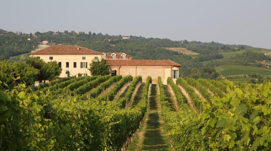 i nostri vigneti