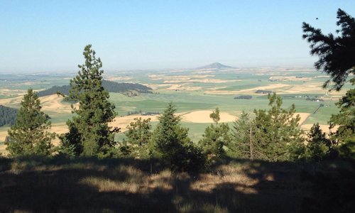 Potlatch, ID 2023: Best Places to Visit - Tripadvisor