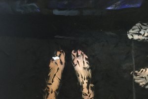 旅行者の写真