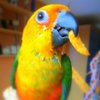 Geraldine M