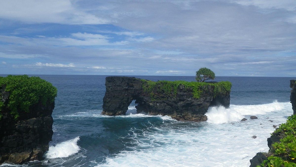 Happy Samoan family - Picture of Dave Parker Eco Lodge, Upolu - Tripadvisor