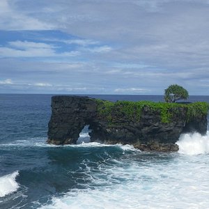 Mens Back Massage - Picture of a Touch of Samoa, Upolu - Tripadvisor