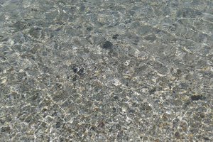 Viaggiatori