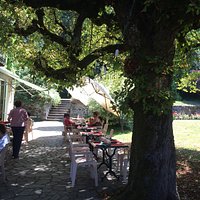 Terrasse ombragé