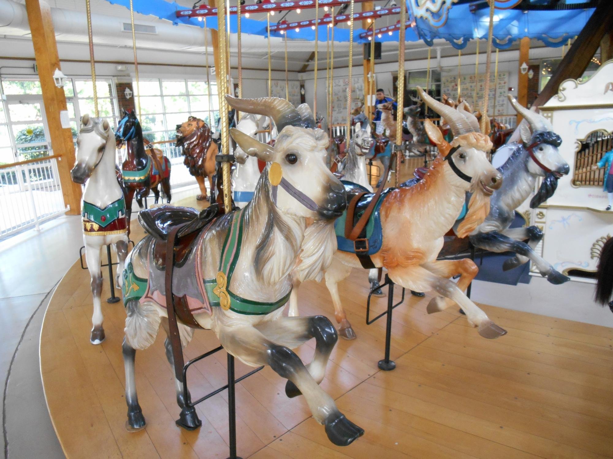 Cass County Dentzel Carousel (Logansport) - 2021 All You Need To Know ...