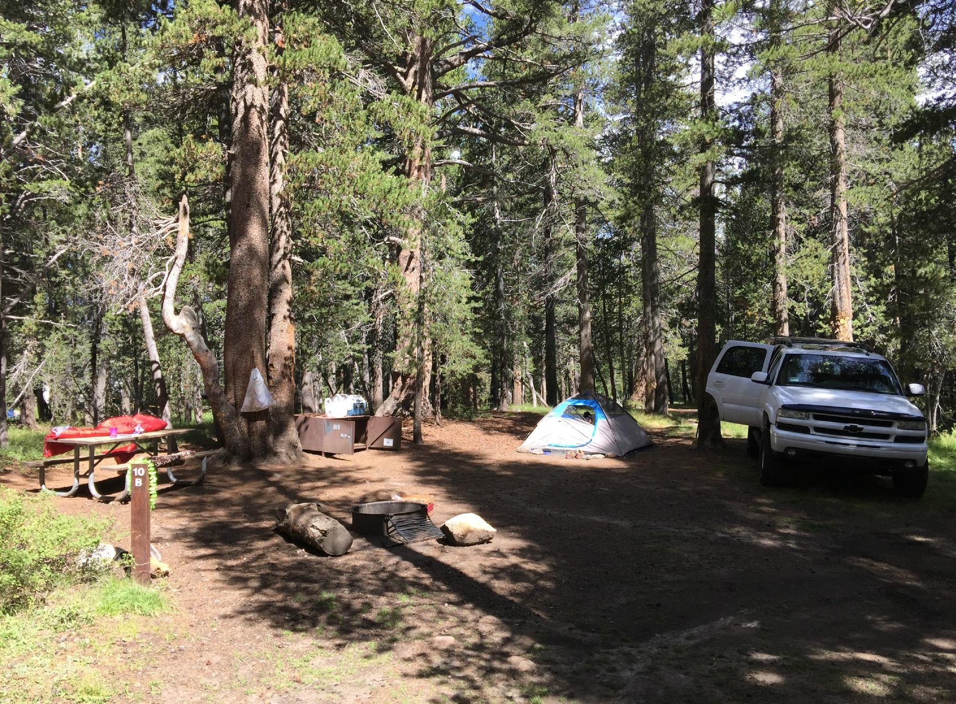 Tuolumne Meadows Campground by null