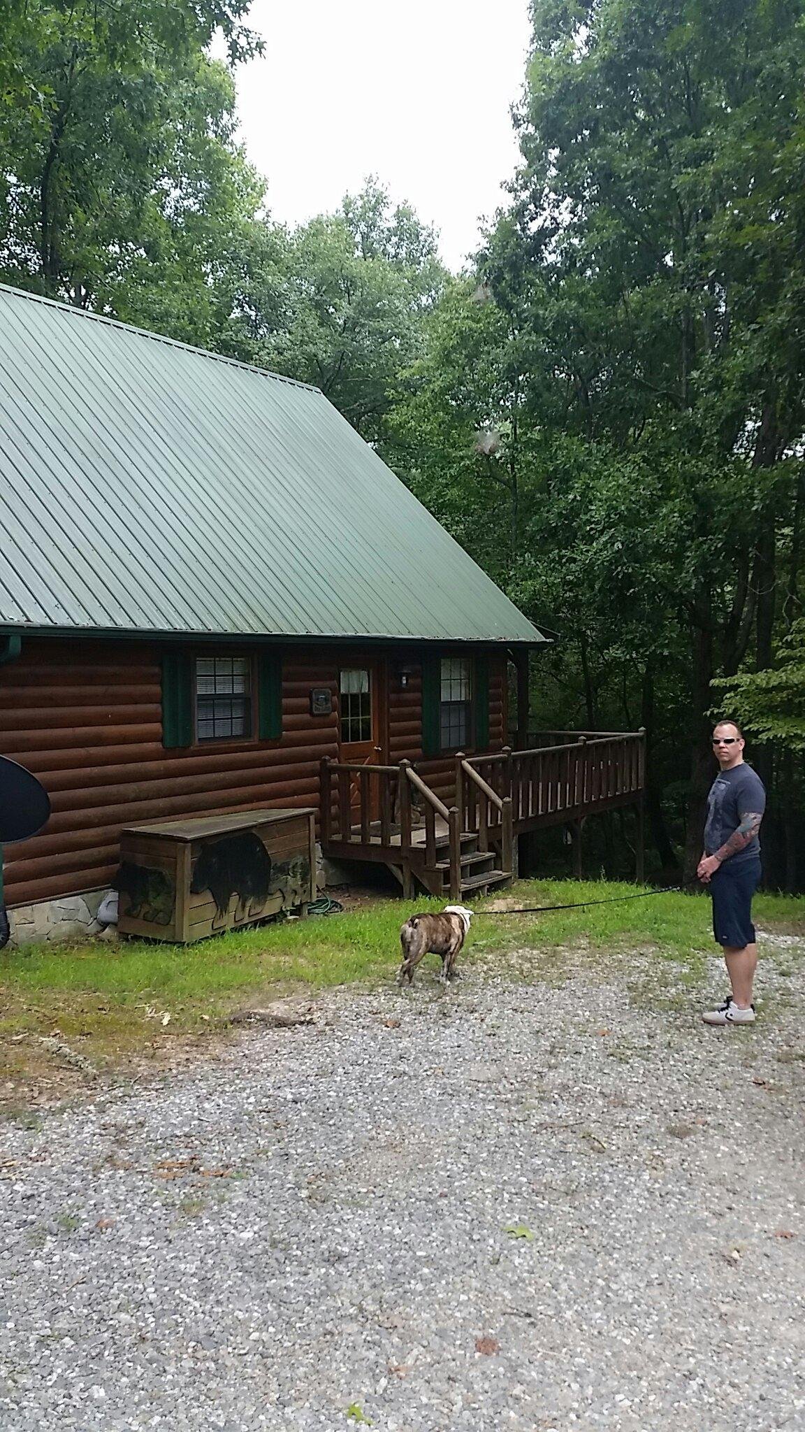 My mountain cabin rentals