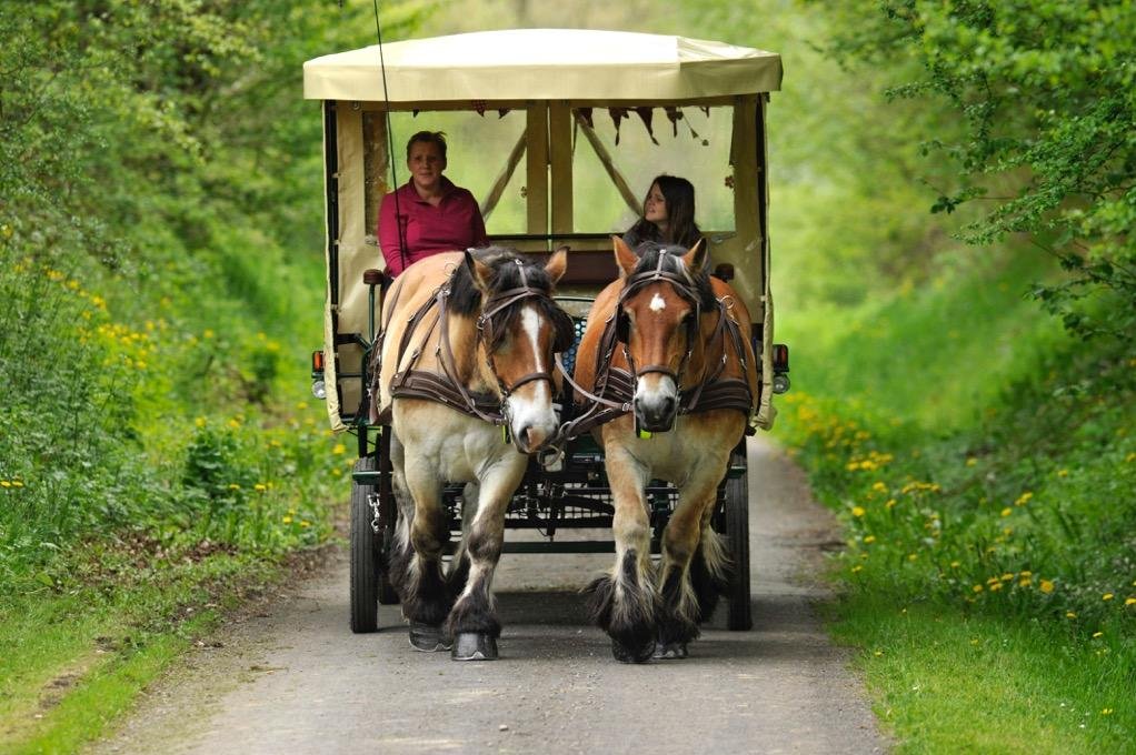 Ardenne Trait Gourmande - Chariot à fondue - All You Need to Know ...