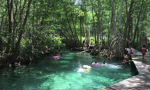Um lugar secreto em Yucatan - México - Picture of Yucatan, Yucatan  Peninsula - Tripadvisor