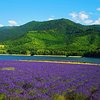 Things To Do in Farm Tomita Lavender East, Restaurants in Farm Tomita Lavender East