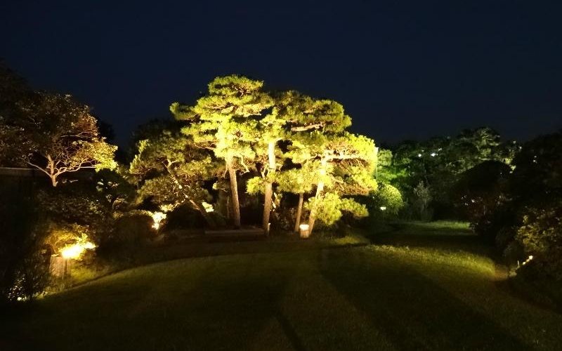夜の庭園