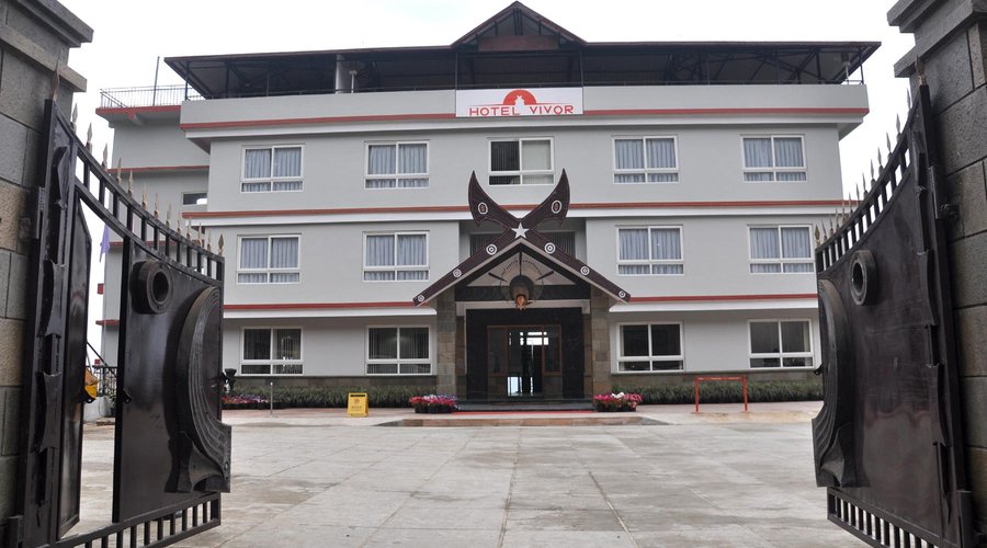 Hotel Vivor
